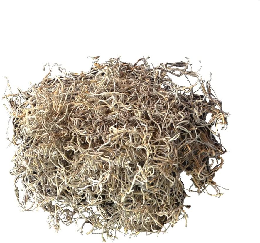 Spanish Moss