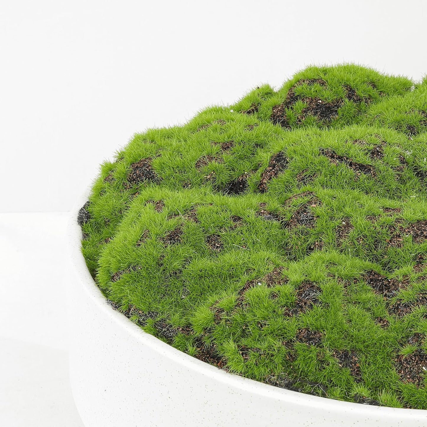 Faux Moss Bowl