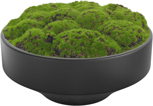 Faux Moss Bowl